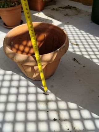 Lote maceteros y platos