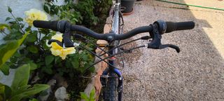 Bicicleta Romester Wintrack 260