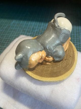 Bomboniera neonato gatto