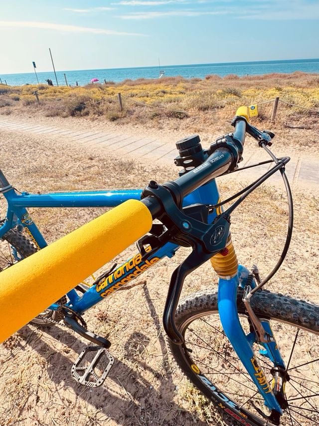 Bicicleta Cannondale F800 CAAD3