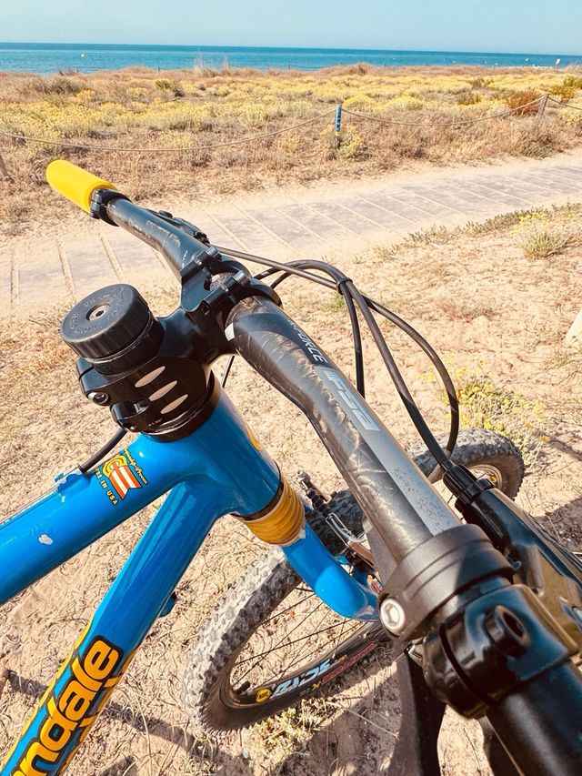 Bicicleta Cannondale F800 CAAD3