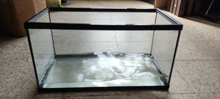 Acuario 54L - pecera usada