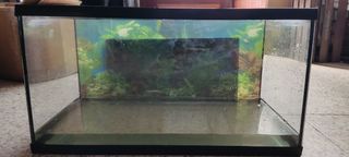Acuario 54L - pecera usada