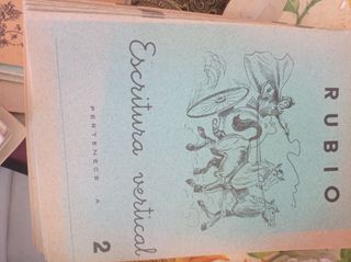 50 cuadernos Rubio escritura vertical vintage