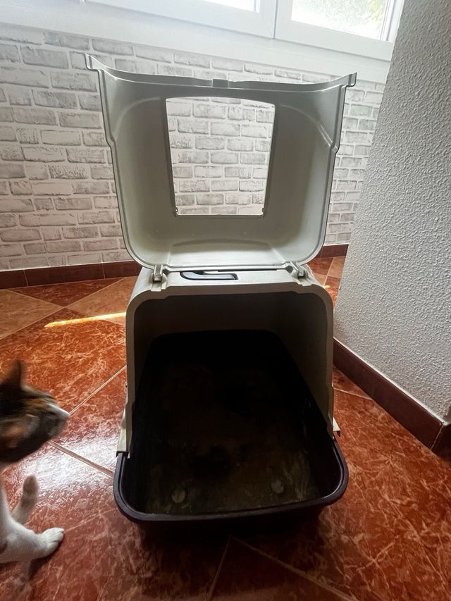 Arenero para gatos usado