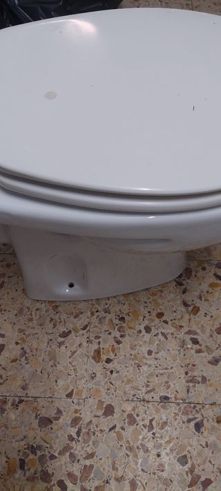 Tapa de wc