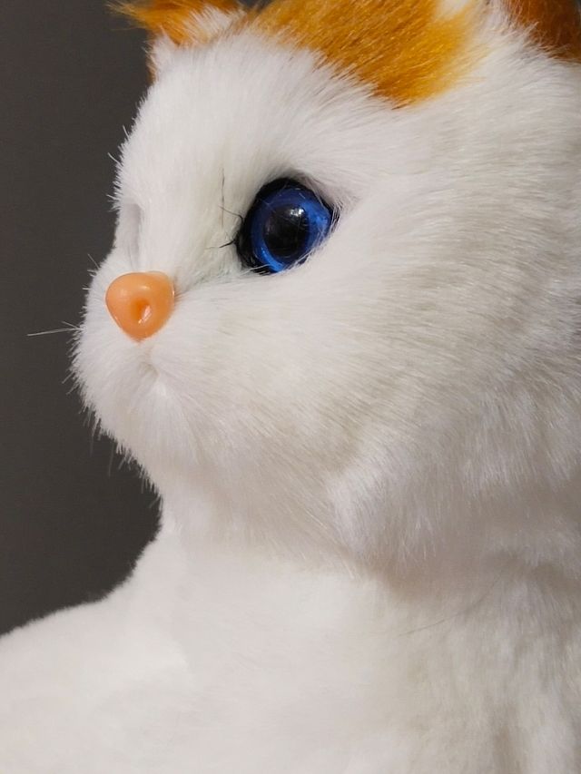 Gato Peluche Blanco Naranja
