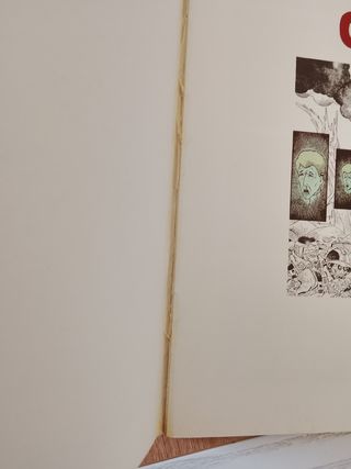 La sombra del cuervo