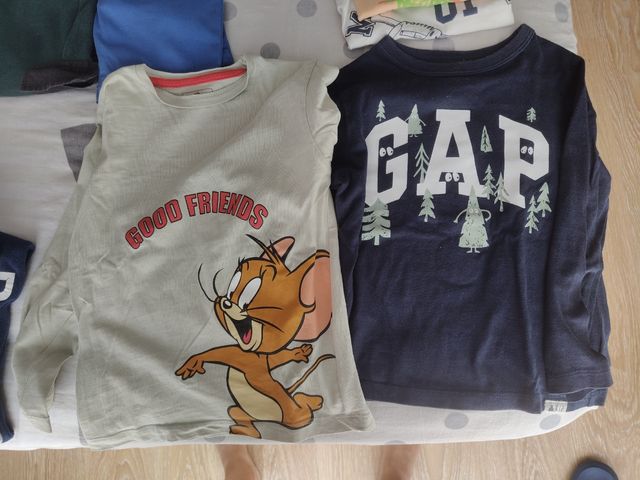 Lote chollo ropa niño 4-5 años