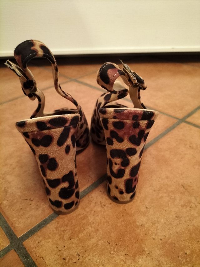 Sabot RAID leopardati