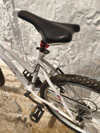 Bicicleta Niña Talla Media