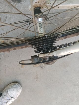 Bicicleta de montaña b-pro zs.one