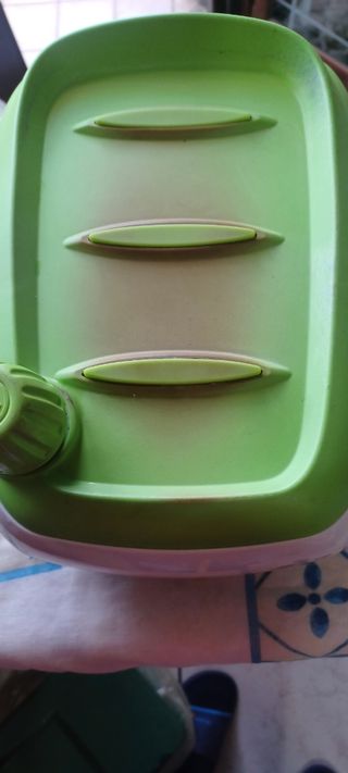 Ferro da stiro Termozeta Verde