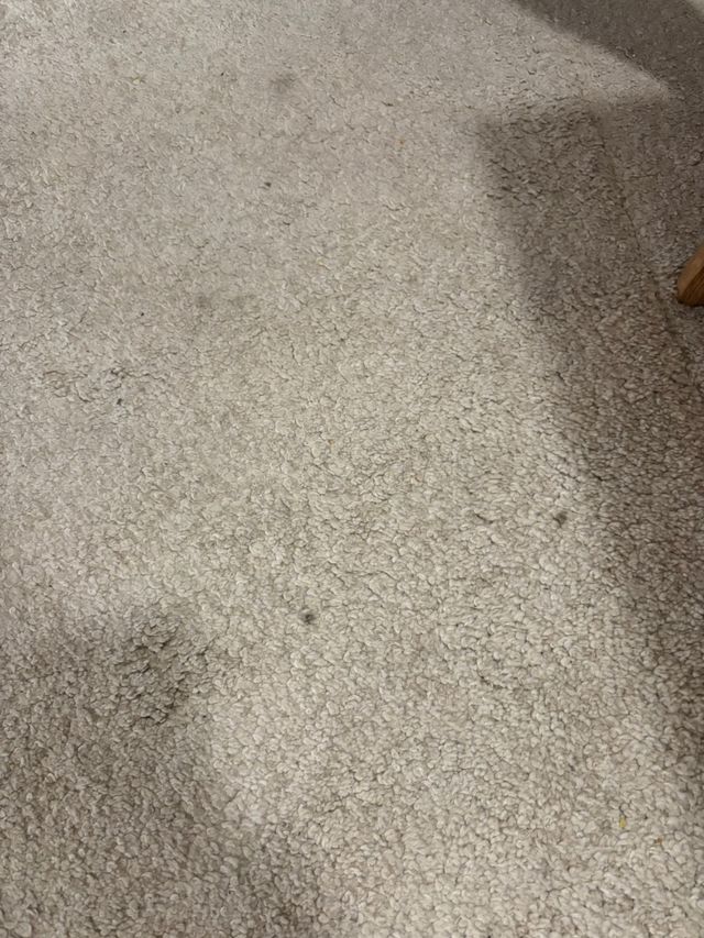  2 Alfombra Stoense Ikea - Beige