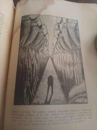 Libro antiguo, EL SUICIDIO