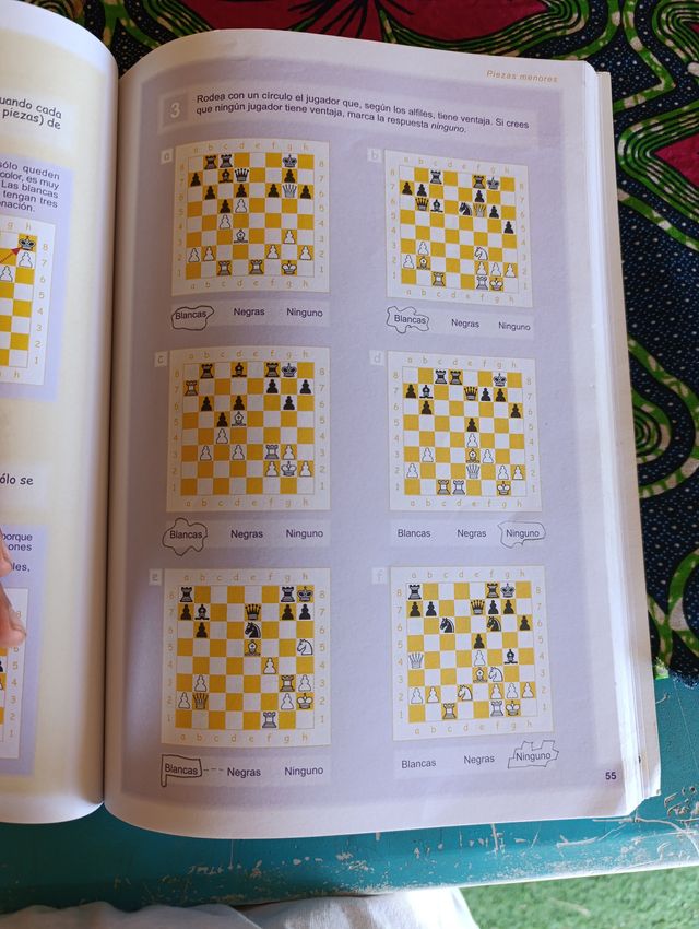 AJEDREZ PARA TODOS: INTERMEDIO 1