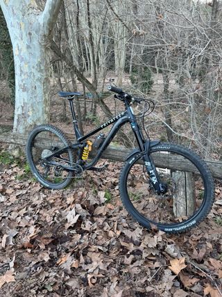 Bicicleta enduro Privateer 161