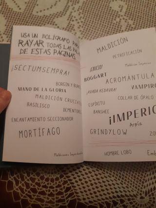 Diario Harry Potter - Destruye Horrocrux