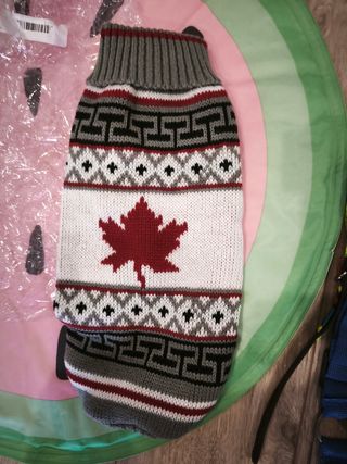 Pack accesorios perro Men For San