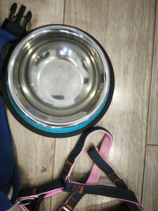 Pack accesorios perro Men For San