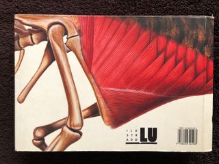 Dinosaurios (PEQUEÑAS GUIAS) (Spanish Edition)