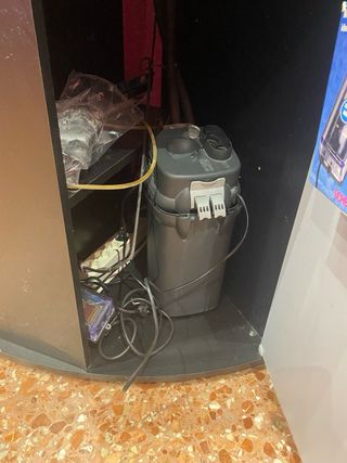 Acuario curvo 190L + accesorios