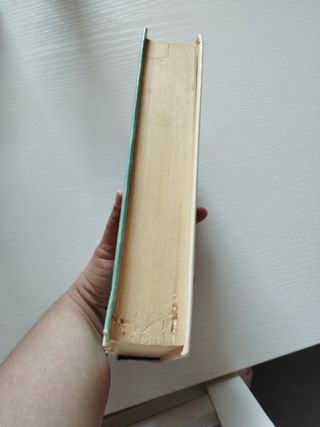 Il senso di Smilla per la neve