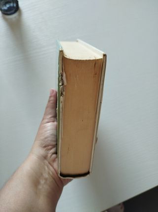 Il senso di Smilla per la neve