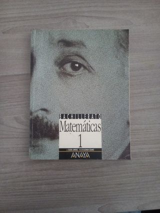 Matematica 1 - Bup (Spanish Edition)