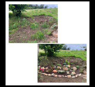 Jardinería, paisajismo y limpieza en Asturias