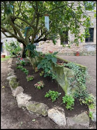 Jardinería, paisajismo y limpieza en Asturias