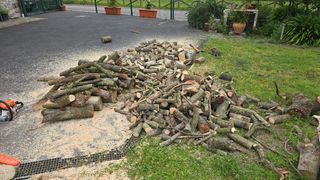Jardinería, paisajismo y limpieza en Asturias