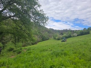 Jardinería, paisajismo y limpieza en Asturias