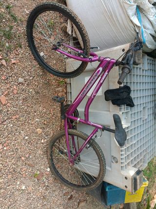 Bicicleta