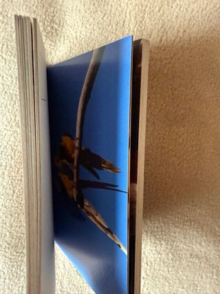 PostcardBook - Baci animali