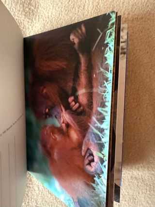 PostcardBook - Baci animali