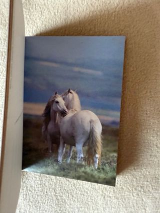 PostcardBook - Baci animali