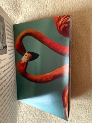 PostcardBook - Baci animali