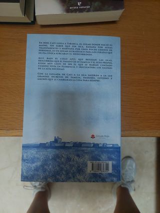 Bajo el cielo de Tabarca (Spanish Edition)