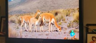 TV Samsung 40" - Como nuevo PARA REGALO DE NAVIDAD