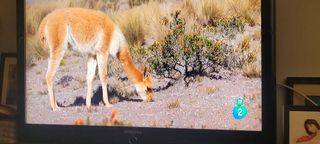 TV Samsung 40" - Como nuevo PARA REGALO DE NAVIDAD