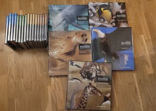 Reino Animal. Descubrir la vida salvaje