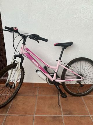 Bicicleta