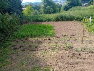 Finca cultivo: Lavadores Candean sampaio