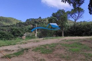Solar en venta en Palafolls