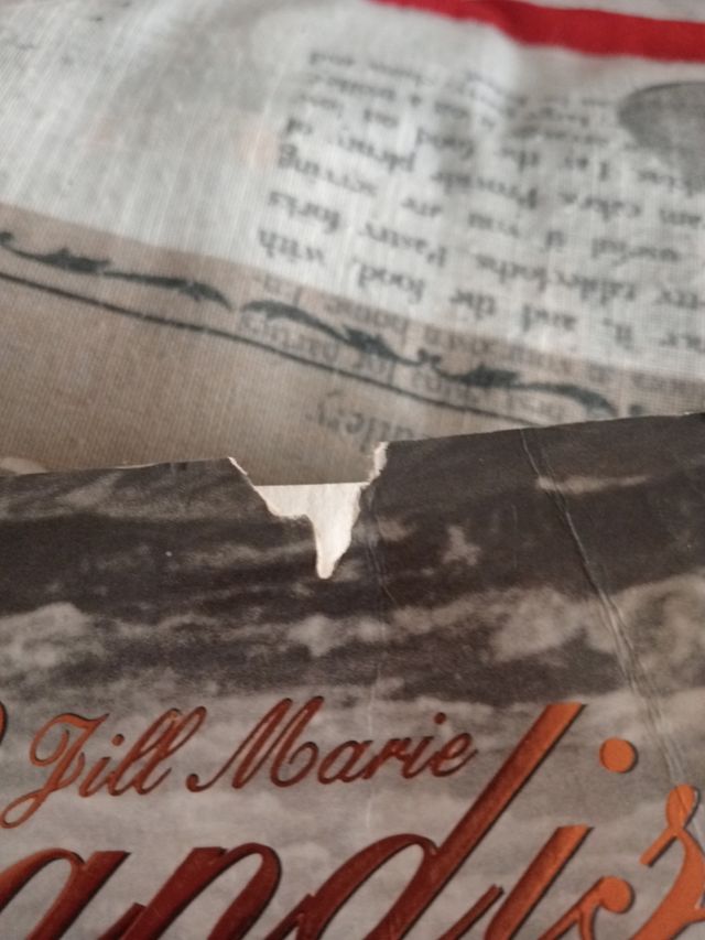 El sendero del amor/ Lover's Lane (Romantica) (...