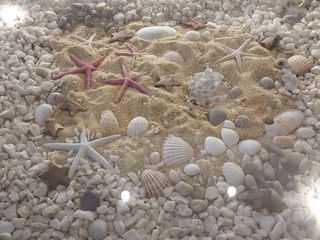 Apartamento Pontevedra - Verano 2026