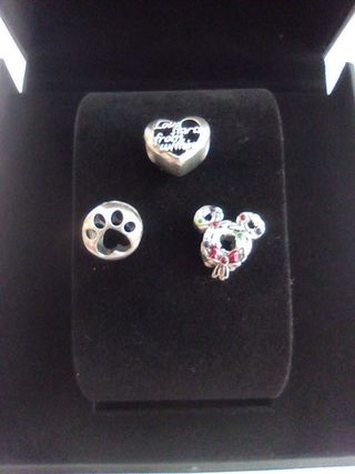 Charms Pandora plata