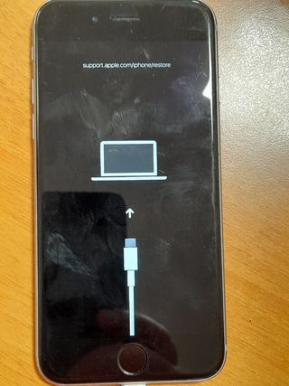 iPhone 6s (A1688) DANNEGGIATO 