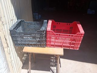 Cajas de plástico fruta/ajos